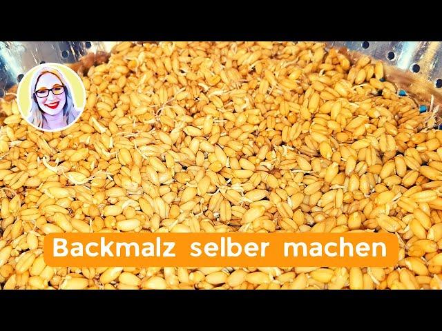 Backmalz selber machen: Tipps für eine bessere Brotqualität Backmalz selber machen: Tipps für eine bessere Brotqualität