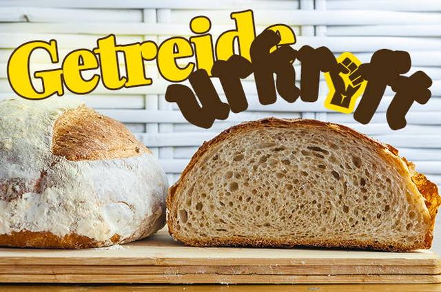 Gesundes Backen mit selbstgemachtem Backmalz: Das Rezept für perfekte Ergebnisse Gesundes Backen mit selbstgemachtem Backmalz: Das Rezept für perfekte Ergebnisse