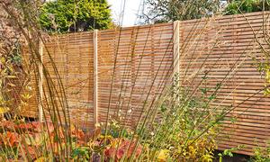 Schützen Sie Ihren Garten mit originellen DIY-Sichtschutzelementen Schützen Sie Ihren Garten mit originellen DIY-Sichtschutzelementen