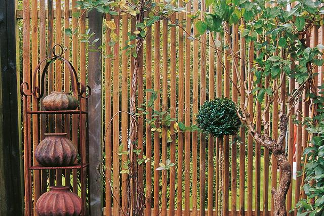 Selbstgemachter Sichtschutz: 6 originelle DIY-Tipps für Ihren Garten Selbstgemachter Sichtschutz: 6 originelle DIY-Tipps für Ihren Garten