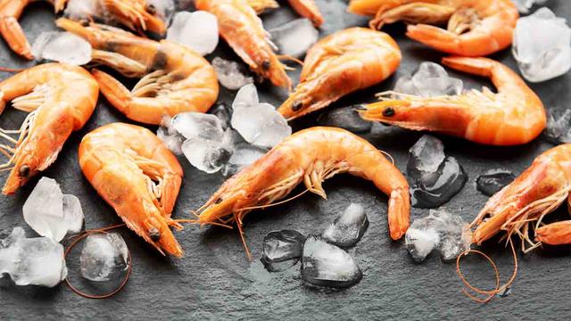 Hunde und Garnelen: Was du über Allergien wissen solltest Hunde und Garnelen: Was du über Allergien wissen solltest