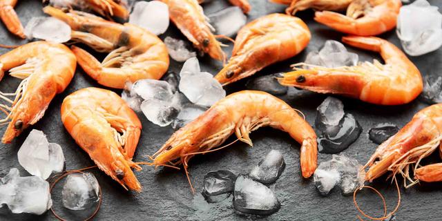 Garnelen als Leckerbissen für deinen Hund: Dos and Don Garnelen als Leckerbissen für deinen Hund: Dos and Don