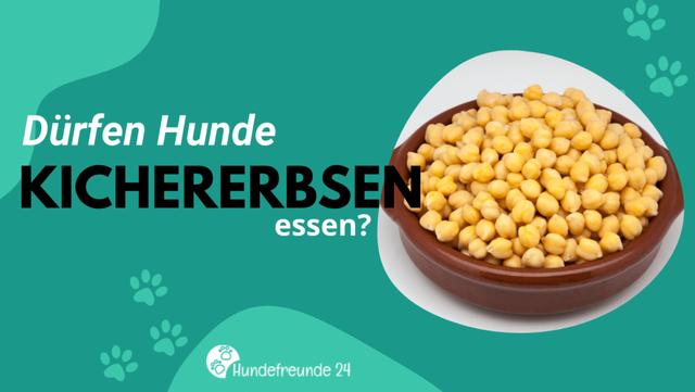 Die Vorteile von Kichererbsen für Hunde: Proteinreich und ballaststoffhaltig. Die Vorteile von Kichererbsen für Hunde: Proteinreich und ballaststoffhaltig.