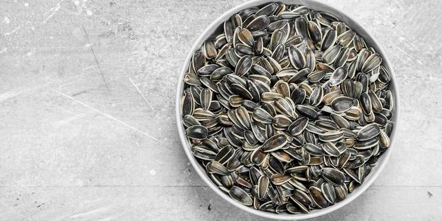 Was passiert, wenn mein Hund zu viele Sonnenblumenkerne isst?