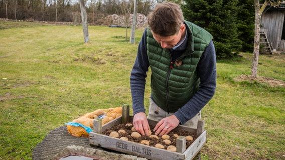 Kartoffelanbau: Tipps für eine reiche Ernte