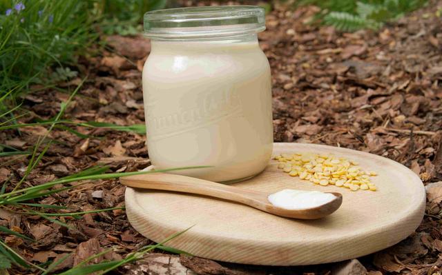 Schritt für Schritt Anleitung: Sojajoghurt einfach selber machen Schritt für Schritt Anleitung: Sojajoghurt einfach selber machen