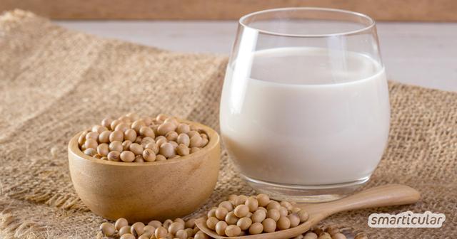 Leckere Alternativen zur Kuhmilch: Selbst gemachte Sojamilch