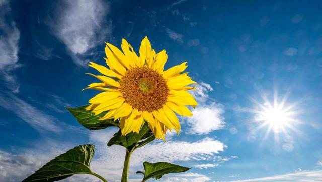 Steigende Temperaturen und viel Sonne für morgen