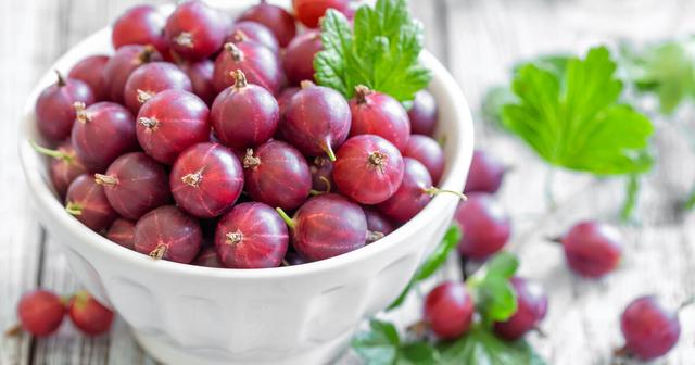 Wann sind Stachelbeeren reif? Der richtige Zeitpunkt für die Ernte Wann sind Stachelbeeren reif? Der richtige Zeitpunkt für die Ernte
