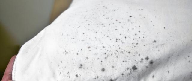 Schritt-für-Schritt-Anleitung: So entfernen Sie Stockflecken erfolgreich