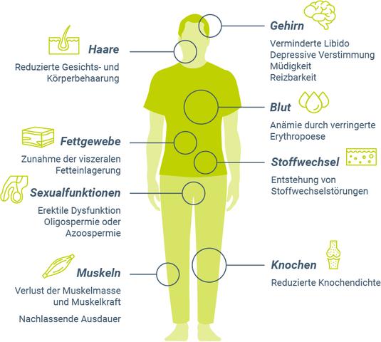 Die gesundheitlichen Vorteile niedriger Testosteronwerte bei Familienvätern Die gesundheitlichen Vorteile niedriger Testosteronwerte bei Familienvätern