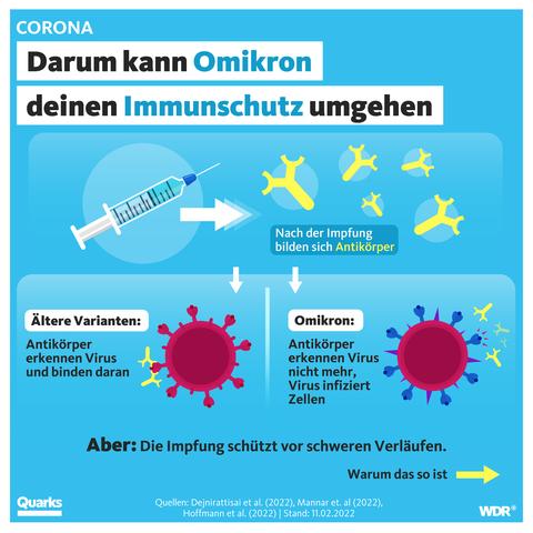 Corona und Omikron: Wie lange bleibt man nach einer Infektion positiv?