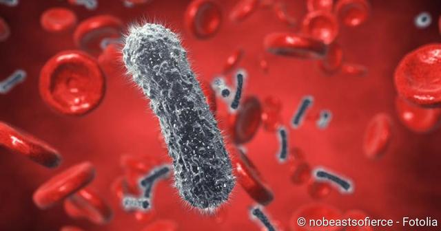 Ursachen und Risikofaktoren für eine Sepsis: Wer ist besonders gefährdet? Ursachen und Risikofaktoren für eine Sepsis: Wer ist besonders gefährdet?