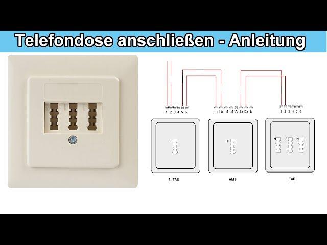 Schritt-für-Schritt-Anleitung: So schließen Sie eine weitere TAE-Dose an die 1. TAE-Dose an Schritt-für-Schritt-Anleitung: So schließen Sie eine weitere TAE-Dose an die 1. TAE-Dose an