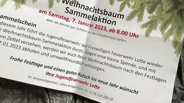Wichtige Informationen zur Entsorgung von Weihnachtsbäumen 2023 Wichtige Informationen zur Entsorgung von Weihnachtsbäumen 2023