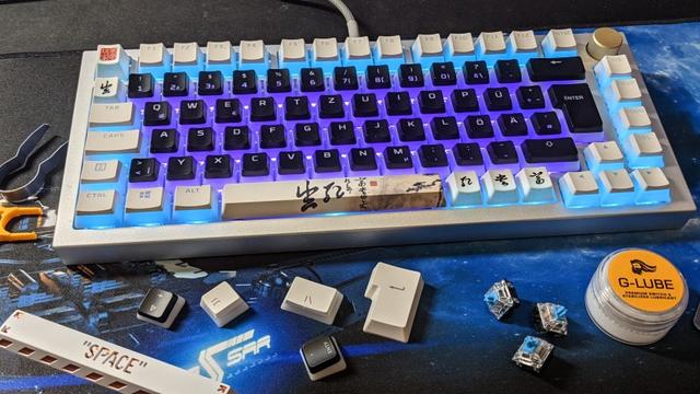 Welche Switches passen am besten zu Ihrer selbstgebauten Tastatur?