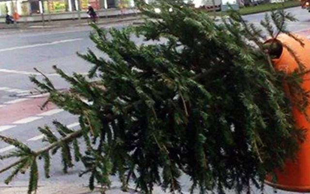 Übersicht der Abholtermine für Weihnachtsbäume im Januar 2023 in Berlin Übersicht der Abholtermine für Weihnachtsbäume im Januar 2023 in Berlin