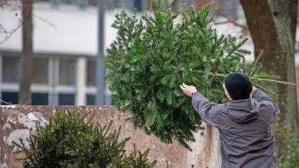 Abholtermine für Weihnachtsbäume 2023: Wann werden Tannenbäume eingesammelt? Abholtermine für Weihnachtsbäume 2023: Wann werden Tannenbäume eingesammelt?