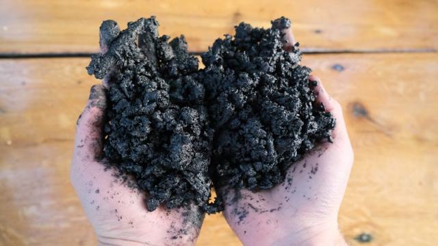 Wie du mit 5 Zutaten deine eigene Terra Preta herstellen und deinen Garten aufwerten kannst Wie du mit 5 Zutaten deine eigene Terra Preta herstellen und deinen Garten aufwerten kannst