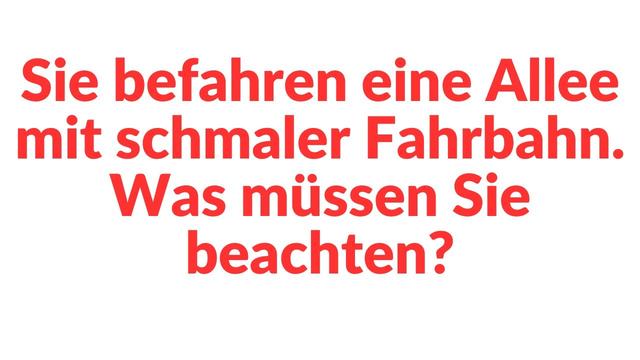 Tipps für das Befahren einer schmalen Allee Tipps für das Befahren einer schmalen Allee