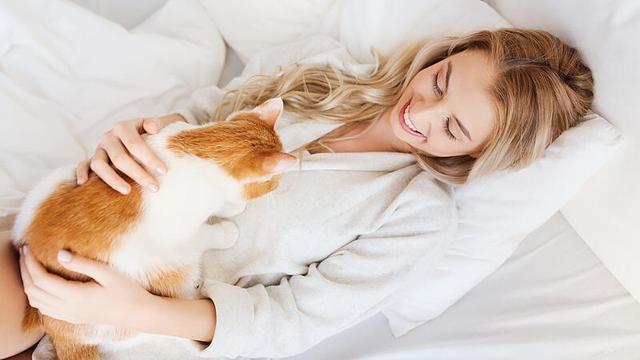 Hoffnung für Katzenallergiker: Ein Impfstoff gegen Allergene in Entwicklung