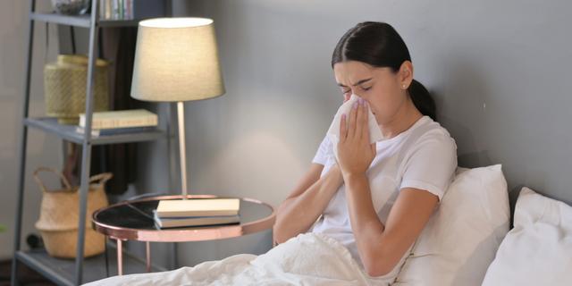 Wie Sie Ihre Wohnung pollenfrei halten und Heuschnupfen vorbeugen können