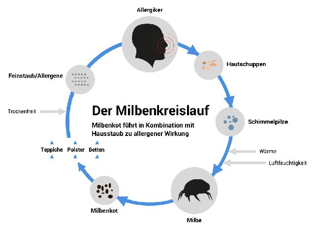 Hyposensibilisierung bei Hausstaubmilbenallergie: Langfristige Behandlungsoption