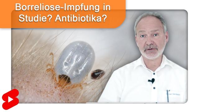 Antibiotika bei Borreliose: Wirkstoffe und Dosierung abhängig vom Stadium der Krankheit Antibiotika bei Borreliose: Wirkstoffe und Dosierung abhängig vom Stadium der Krankheit