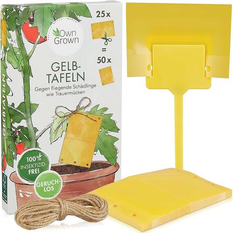 Trauermücken bekämpfen: Wirksame Methoden zur Schädlingsbekämpfung Trauermücken bekämpfen: Wirksame Methoden zur Schädlingsbekämpfung