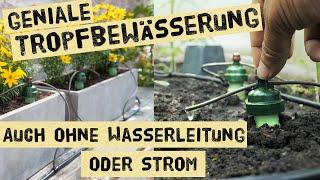 Zeitsparende Lösung für Ihren Garten: Bauanleitung für eine automatische Tropfbewässerung Zeitsparende Lösung für Ihren Garten: Bauanleitung für eine automatische Tropfbewässerung
