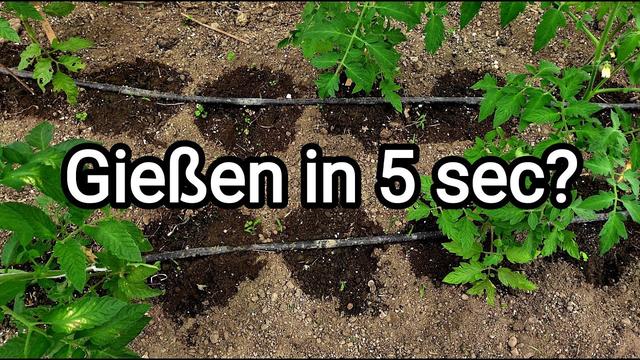 Mit wenig Aufwand zur effektiven Bewässerung: So bauen Sie Ihre eigene Tropfanlage Mit wenig Aufwand zur effektiven Bewässerung: So bauen Sie Ihre eigene Tropfanlage