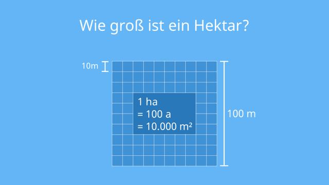 Umrechnung von Hektar (ha) in Quadratmeter (m²) und umgekehrt Wie
