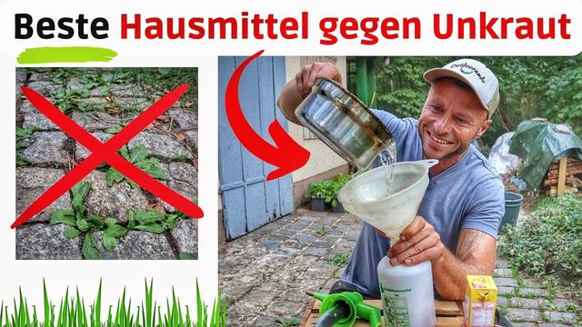 Effektive und ökologische Unkrautbekämpfung: Selbstgemachte Unkrautvernichter Effektive und ökologische Unkrautbekämpfung: Selbstgemachte Unkrautvernichter
