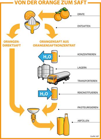Direktsaft im Fokus: Was macht ihn von Saft aus Konzentrat unterscheidet?