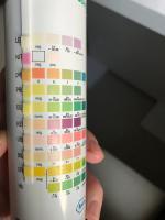 Bedeutung der dunkelgrünen Verfärbung beim Combur Test HB Bedeutung der dunkelgrünen Verfärbung beim Combur Test HB