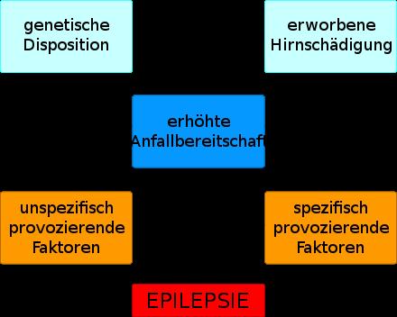 Mögliche Auslöser für epileptische Anfälle: Eine Übersicht Mögliche Auslöser für epileptische Anfälle: Eine Übersicht
