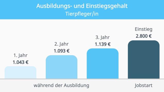 Unterschiedliche Schwerpunkte, unterschiedliche Gehälter: Wie viel verdient ein Tierpfleger in verschiedenen Arbeitsbereichen? Unterschiedliche Schwerpunkte, unterschiedliche Gehälter: Wie viel verdient ein Tierpfleger in verschiedenen Arbeitsbereichen?
