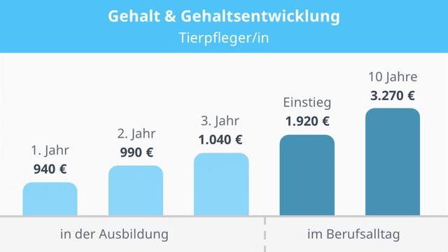 Verdienstmöglichkeiten nach der Ausbildung: Wie hoch ist das Gehalt als ausgebildeter Tierpfleger? Verdienstmöglichkeiten nach der Ausbildung: Wie hoch ist das Gehalt als ausgebildeter Tierpfleger?