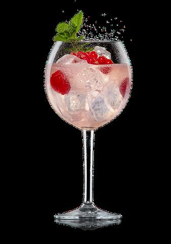 6. Gin Wild Berry & Co.: Limonaden-Mischungen für spritzigen Genuss 6. Gin Wild Berry & Co.: Limonaden-Mischungen für spritzigen Genuss