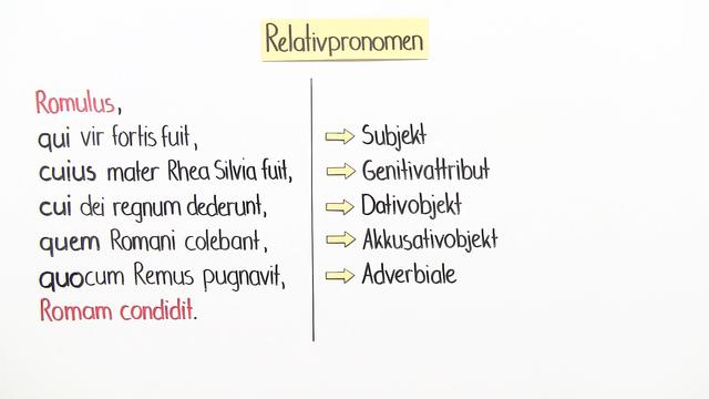 Aufbau und Struktur eines Relativsatzes erklärt Aufbau und Struktur eines Relativsatzes erklärt