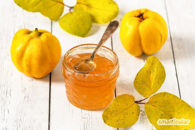 Kreative Rezepte für die Verarbeitung von Quitten Kreative Rezepte für die Verarbeitung von Quitten