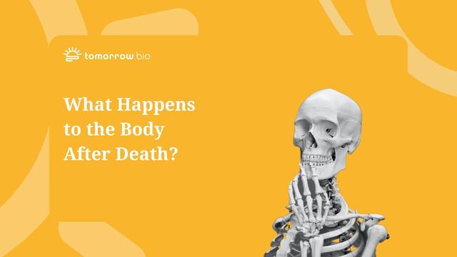 Verwesung und Entleerung des Körpers: Wann geschieht dies nach dem Tod? Verwesung und Entleerung des Körpers: Wann geschieht dies nach dem Tod?