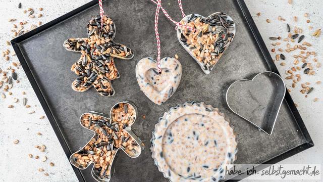 Vogelfutter ohne Öl selbst herstellen: Schnelle und günstige Methode Vogelfutter ohne Öl selbst herstellen: Schnelle und günstige Methode