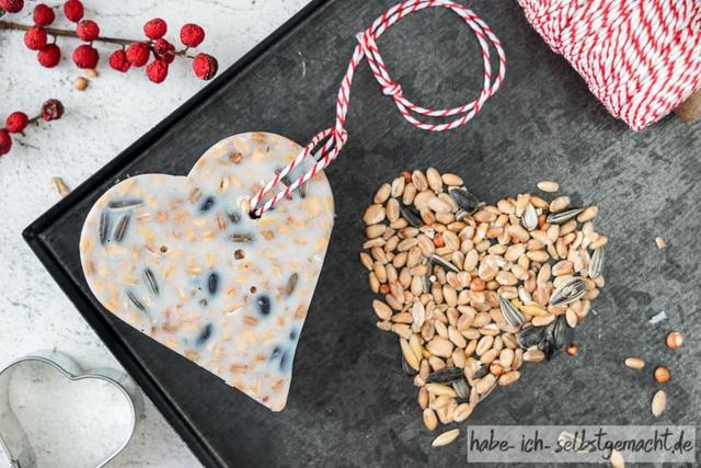 Schnell und günstig: Vogelfutter ohne Kokosfett selber machen Schnell und günstig: Vogelfutter ohne Kokosfett selber machen