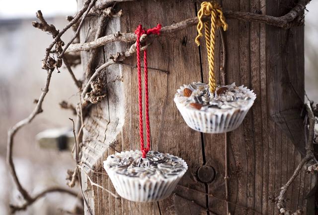 Gesunde Alternativen: Vogelfutter selbst herstellen ohne Kokosfett Gesunde Alternativen: Vogelfutter selbst herstellen ohne Kokosfett