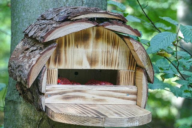 Kreatives Vogelfutterhaus selbst gemacht - Bauanleitung und Ideen