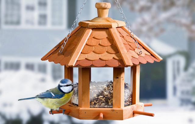 Vogelfutterhaus Einfache Anleitung zum Selbstbau Sieu Thi Do Noi That