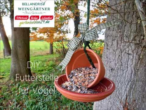 DIY Vogelfutterstellen: 6 Anleitungen zum Bau einer eigenen Futterstelle für Vögel DIY Vogelfutterstellen: 6 Anleitungen zum Bau einer eigenen Futterstelle für Vögel
