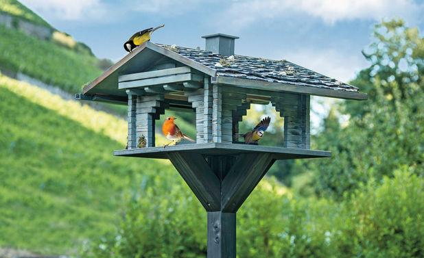 Gratis Anleitung: So bauen Sie ein Vogelhaus selber Gratis Anleitung: So bauen Sie ein Vogelhaus selber