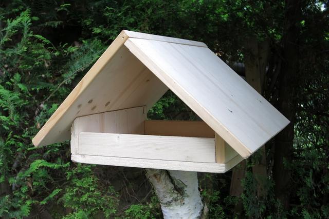 Kostenlose Anleitung: Vogelhaus selber bauen - Schritt für Schritt Kostenlose Anleitung: Vogelhaus selber bauen - Schritt für Schritt